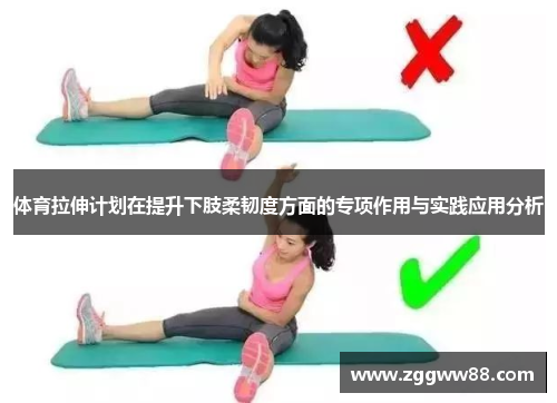 体育拉伸计划在提升下肢柔韧度方面的专项作用与实践应用分析