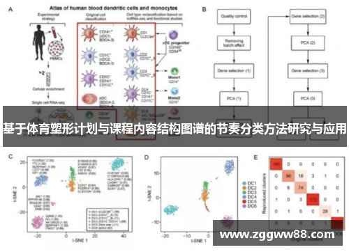 基于体育塑形计划与课程内容结构图谱的节奏分类方法研究与应用
